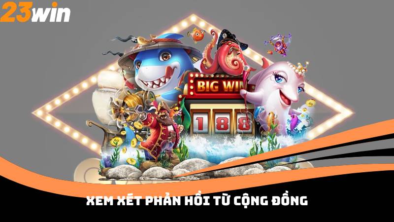 Xem xét phản hồi từ cộng đồng